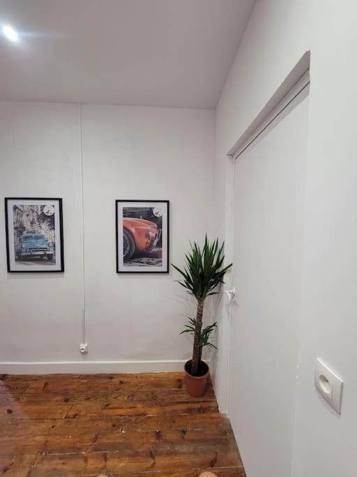 Appartement De Charme Avec Tomettes Et Parquet Graulhet ภายนอก รูปภาพ